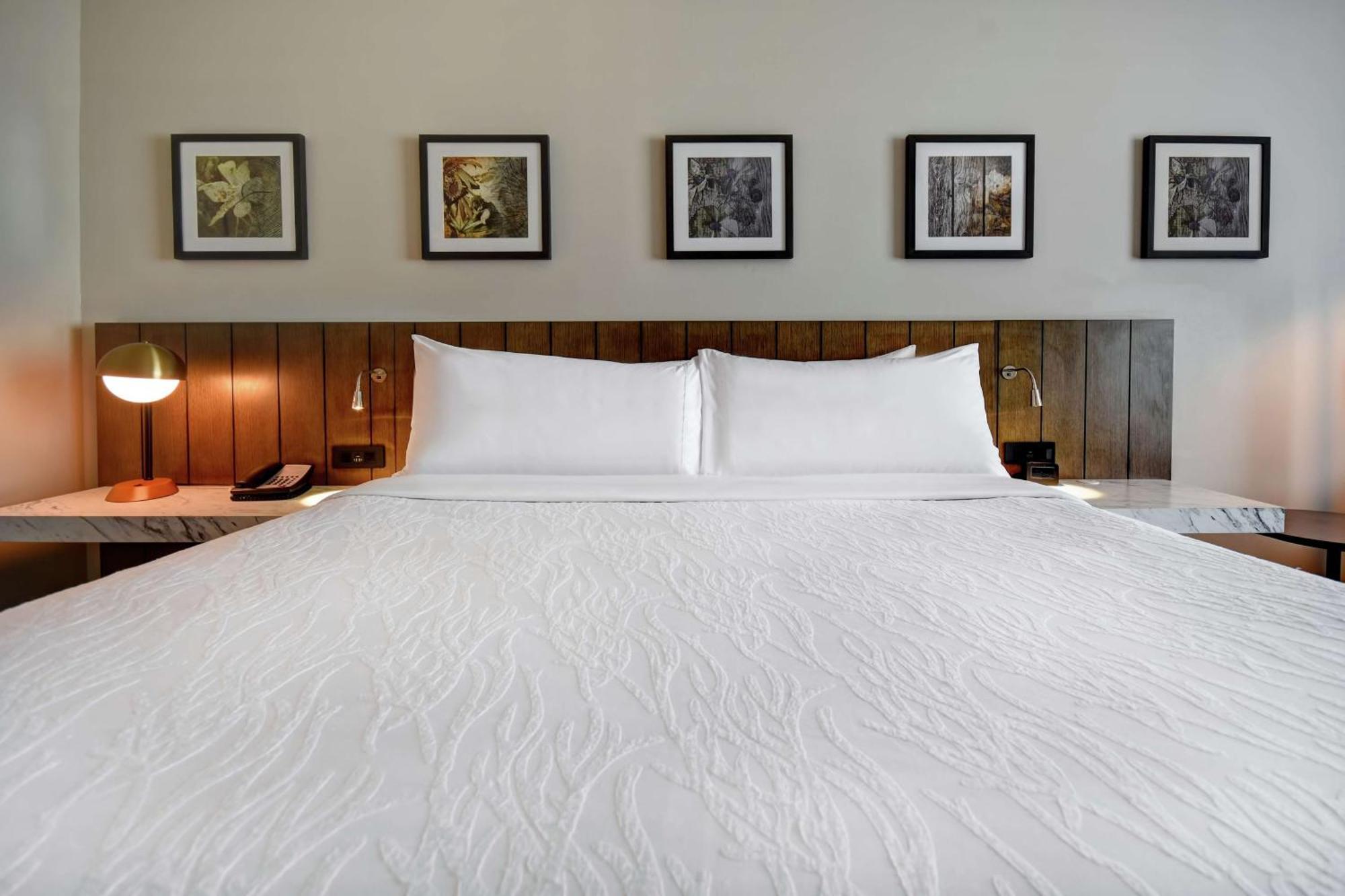 Hilton Garden